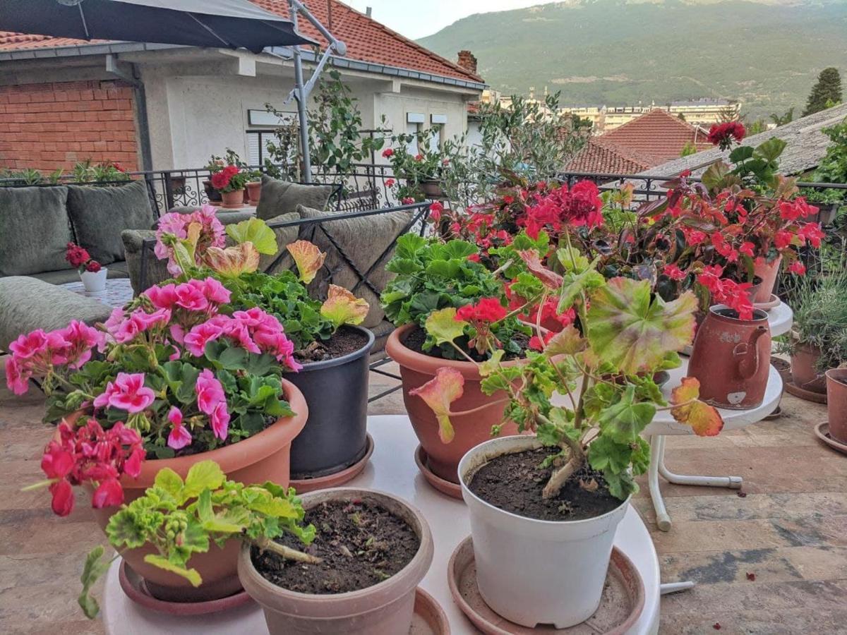 Apartments Evelyn Ohrid Extérieur photo